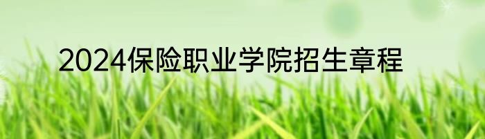 2024保险职业学院招生章程