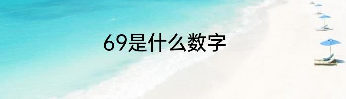 69是什么数字