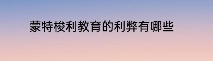 蒙特梭利教育的利弊有哪些