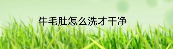 牛毛肚怎么洗才干净