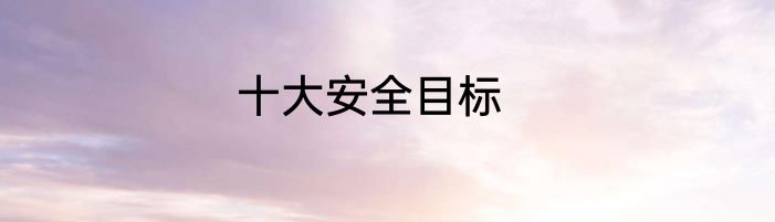 十大安全目标