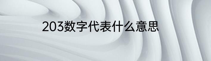 203数字代表什么意思