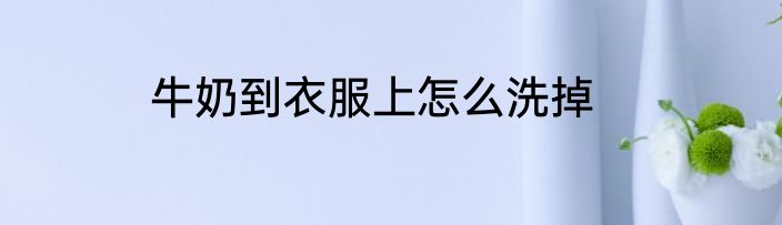 牛奶到衣服上怎么洗掉