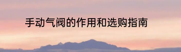 手动气阀的作用和选购指南