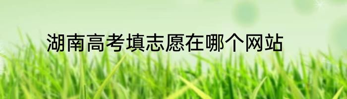 湖南高考填志愿在哪个网站