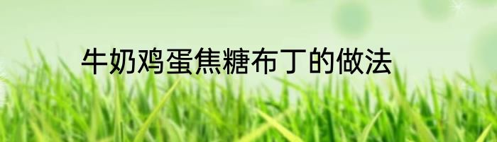 牛奶鸡蛋焦糖布丁的做法