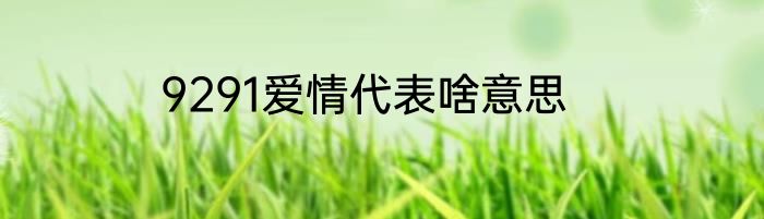 9291爱情代表啥意思