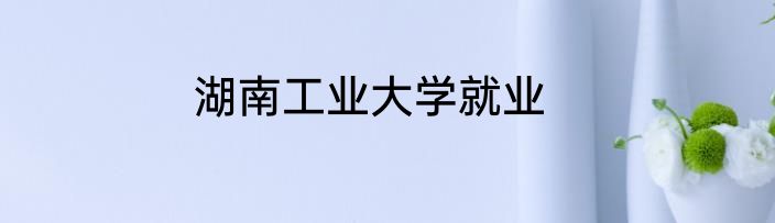 湖南工业大学就业