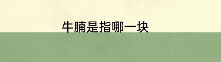 牛腩是指哪一块