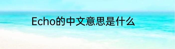 Echo的中文意思是什么