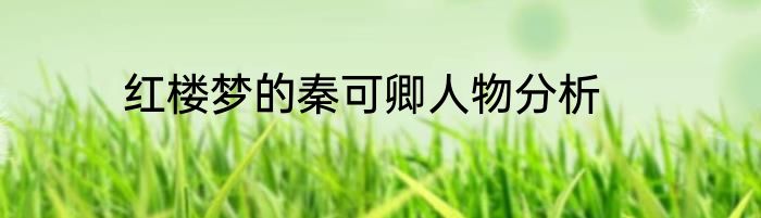 红楼梦的秦可卿人物分析