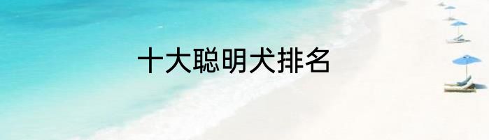 十大聪明犬排名