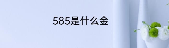 585是什么金