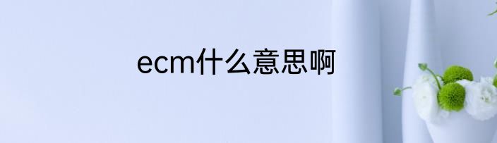 ecm什么意思啊