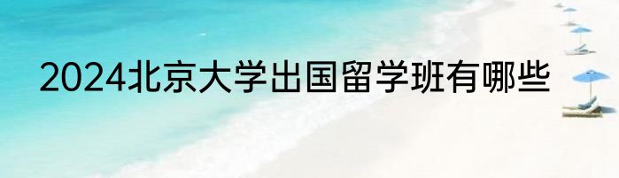 2024北京大学出国留学班有哪些