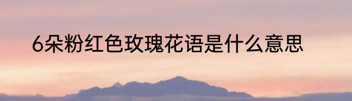 6朵粉红色玫瑰花语是什么意思