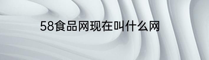 58食品网现在叫什么网