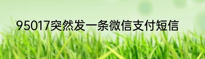 95017突然发一条微信支付短信