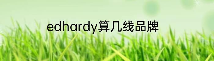 edhardy算几线品牌