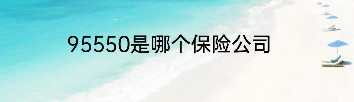 95550是哪个保险公司