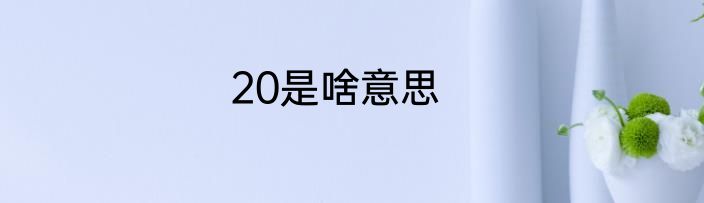 20是啥意思
