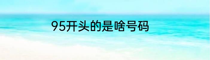 95开头的是啥号码