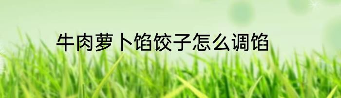 牛肉萝卜馅饺子怎么调馅