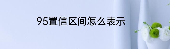 95置信区间怎么表示