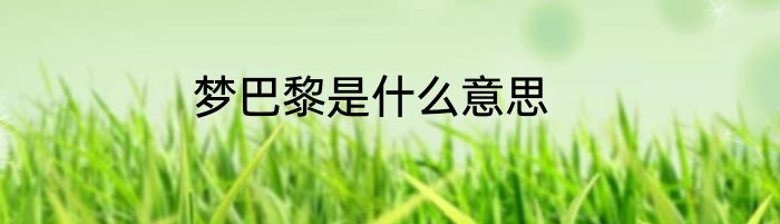 梦巴黎是什么意思