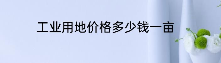 工业用地价格多少钱一亩