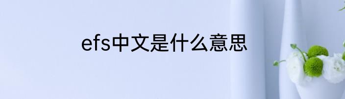efs中文是什么意思