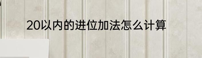 20以内的进位加法怎么计算