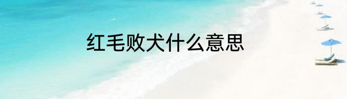 红毛败犬什么意思