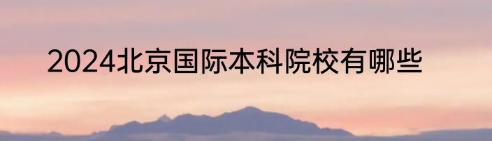 2024北京国际本科院校有哪些