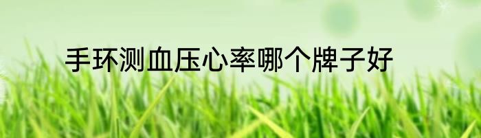 手环测血压心率哪个牌子好