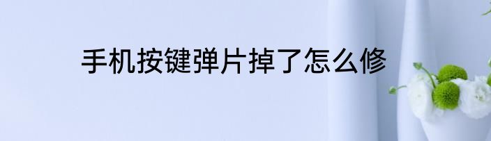 手机按键弹片掉了怎么修