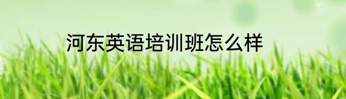 河东英语培训班怎么样