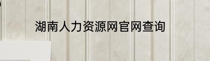 湖南人力资源网官网查询