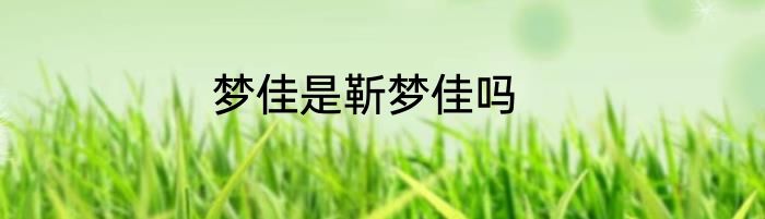 梦佳是靳梦佳吗