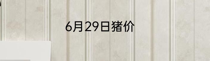 6月29日猪价