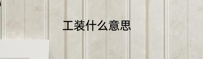 工装什么意思