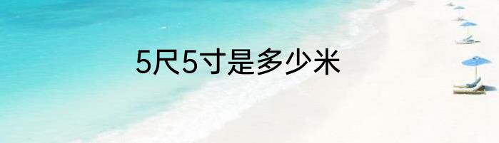5尺5寸是多少米