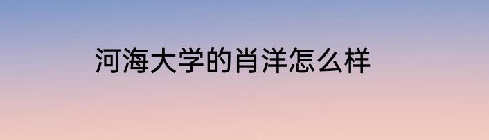 河海大学的肖洋怎么样