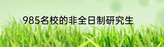 985名校的非全日制研究生