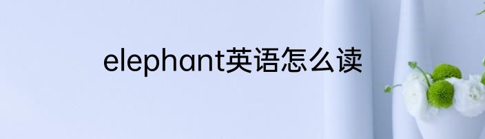 elephant英语怎么读