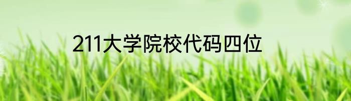 211大学院校代码四位