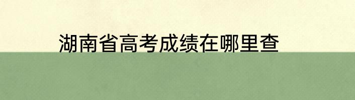 湖南省高考成绩在哪里查
