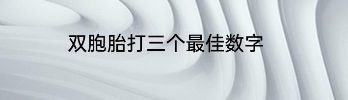 双胞胎打三个最佳数字