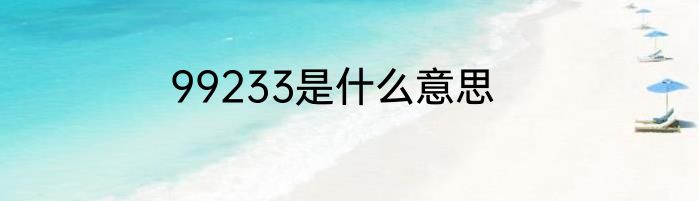 99233是什么意思