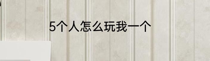 5个人怎么玩我一个